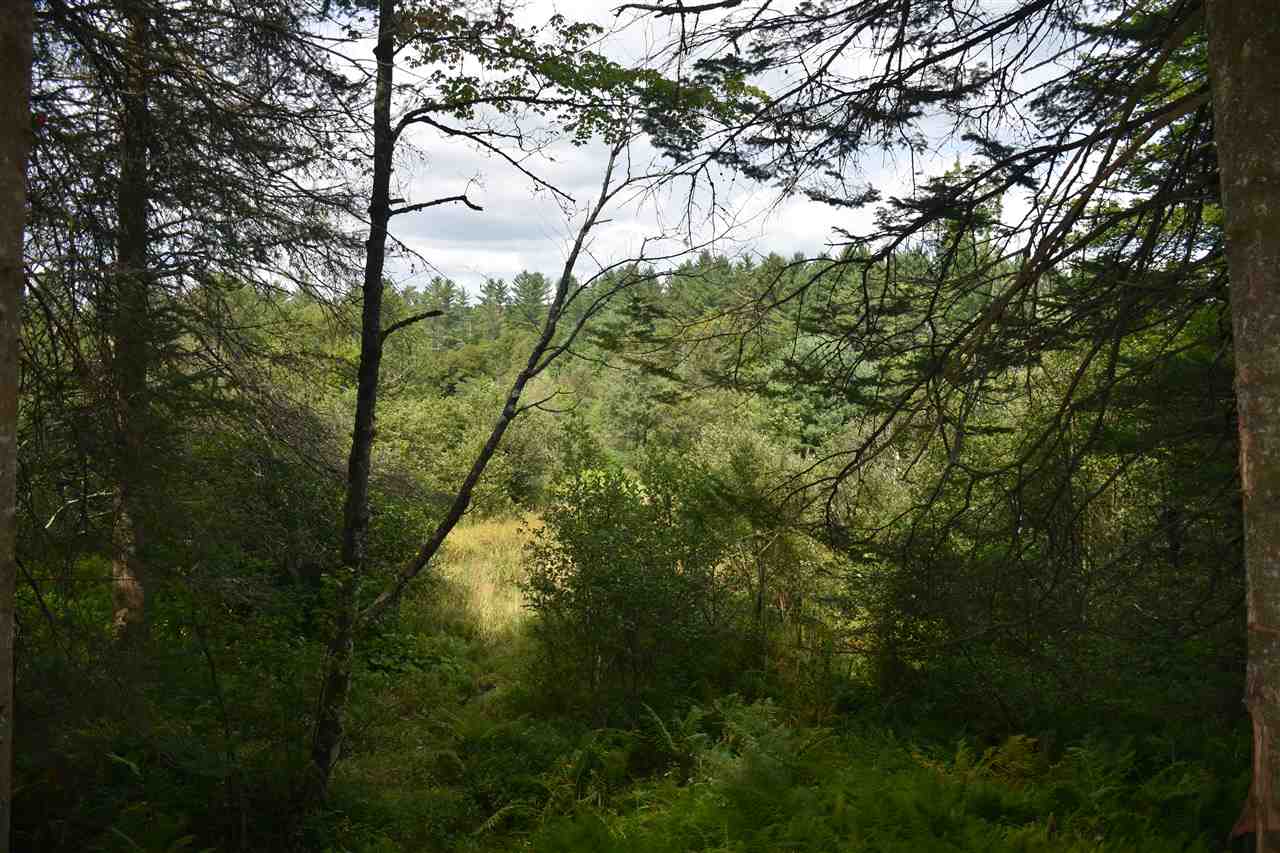 0 Recreation Field Road Plainfield, VT 05667 - Photo 6 of 28