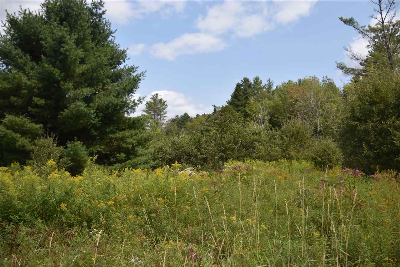 0 Recreation Field Road Plainfield, VT 05667 - Photo 9 of 28