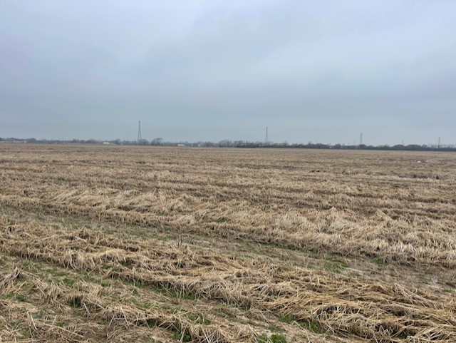 46 County Road 46 Angleton, TX 77515 - Photo 3 of 10