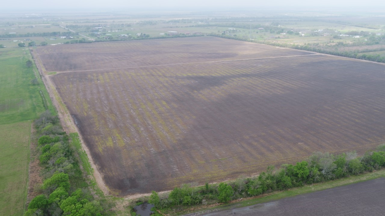 46 County Road 46 Angleton, TX 77515 - Photo 5 of 10