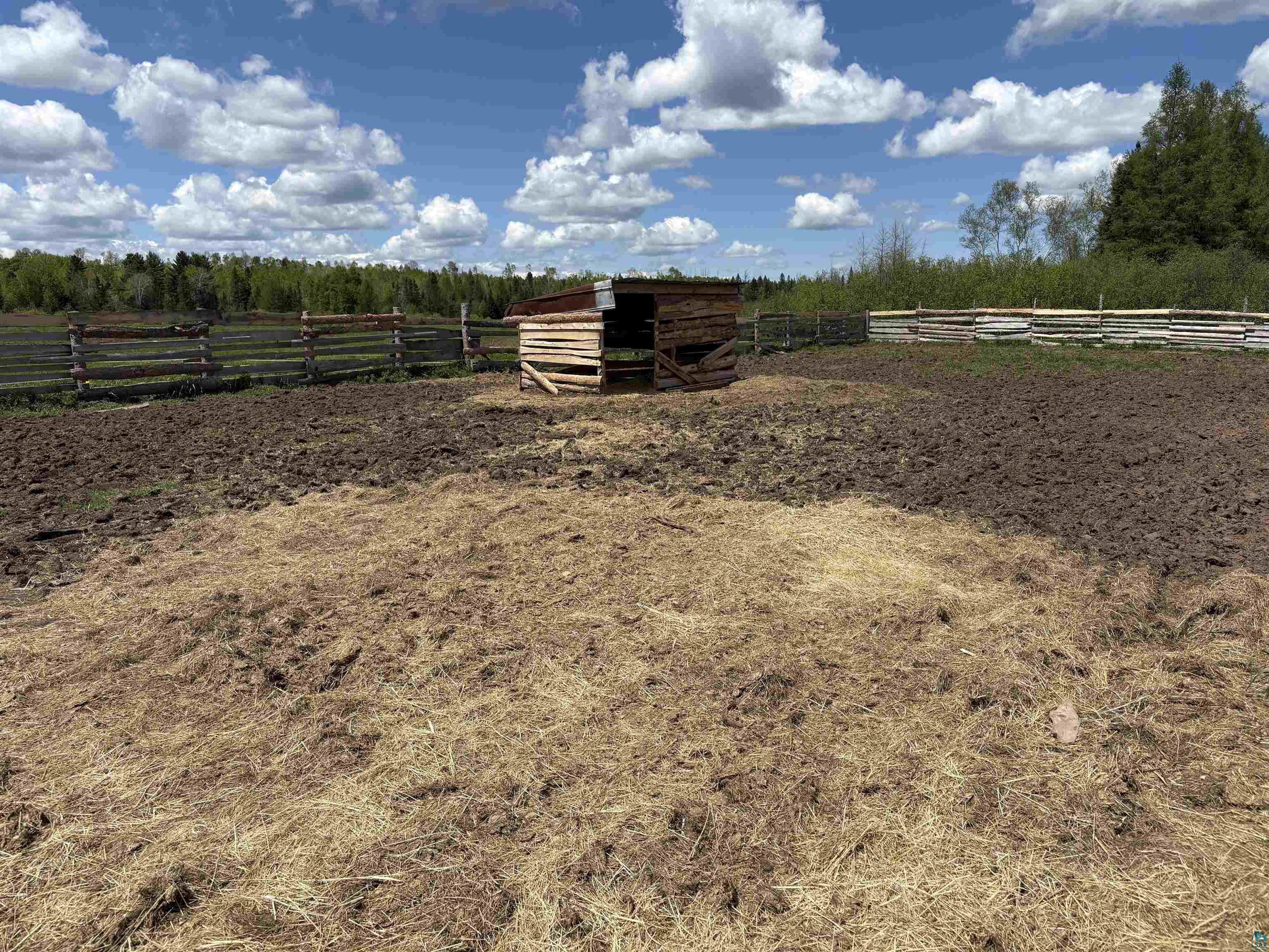 72884 Mertig Road Glidden, WI 54527 - Photo 4 of 11 View of yard featuring a rural view and an outdoor structure
