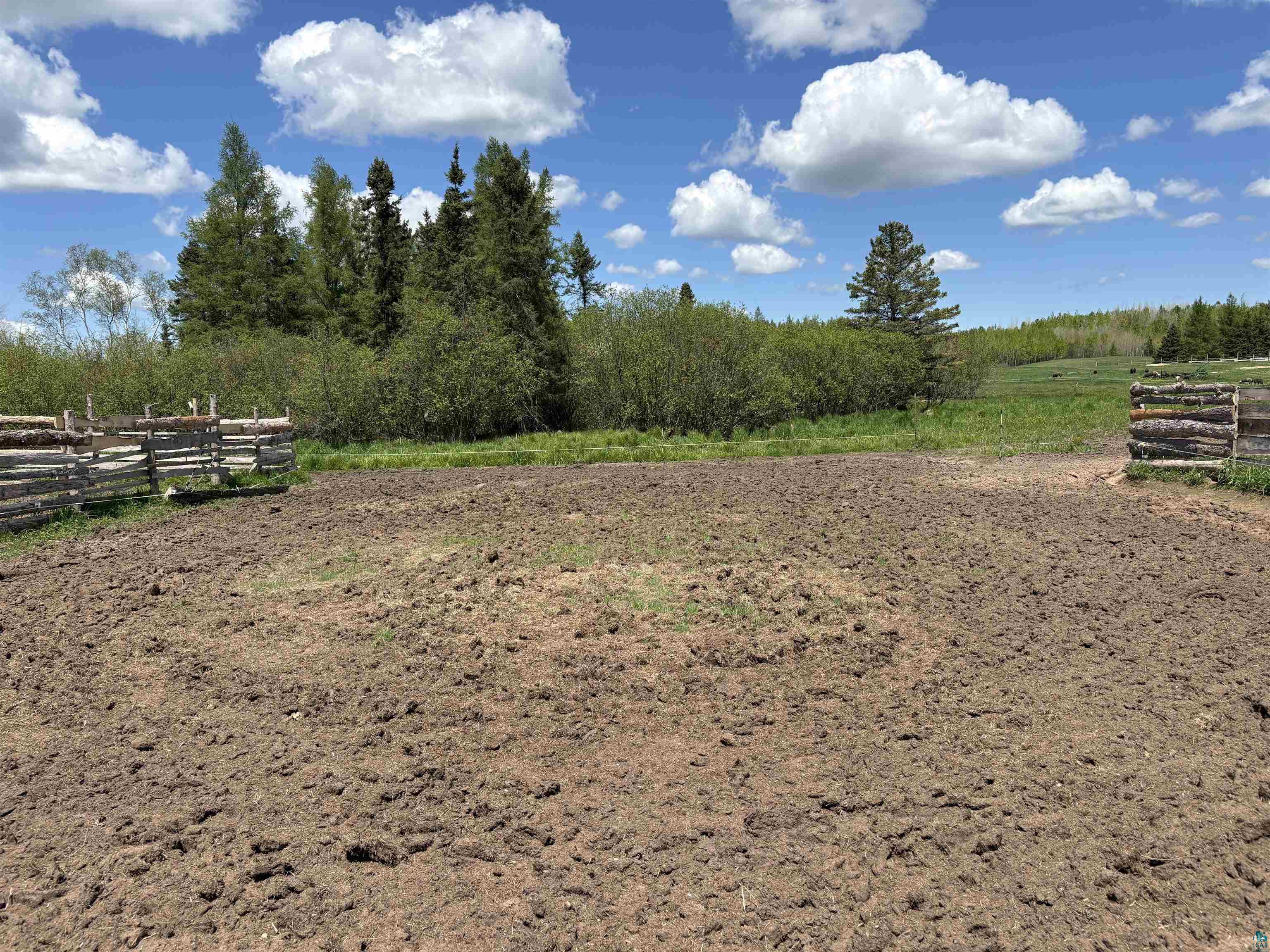 72884 Mertig Road Glidden, WI 54527 - Photo 5 of 11 View of yard with a rural view
