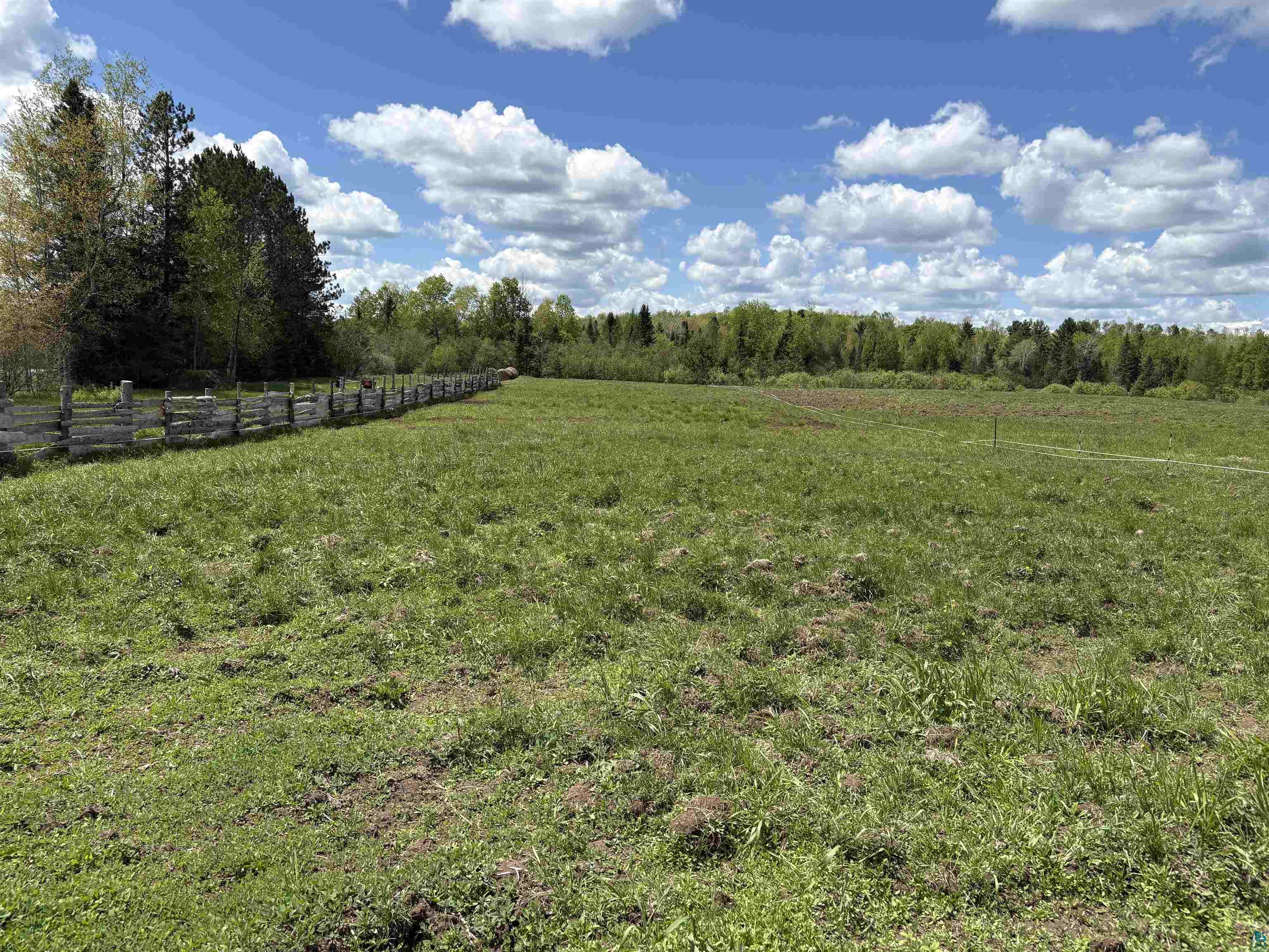 72884 Mertig Road Glidden, WI 54527 - Photo 8 of 11 View of yard with a view of rural / pastoral area and a view of trees