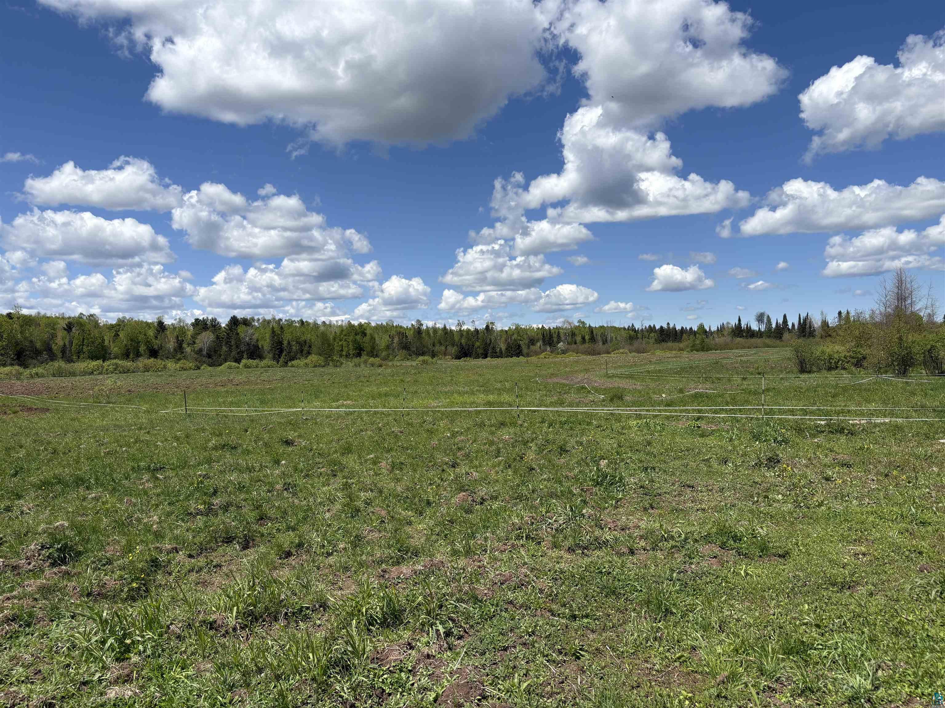 72884 Mertig Road Glidden, WI 54527 - Photo 9 of 11 View of local wilderness with rural landscape