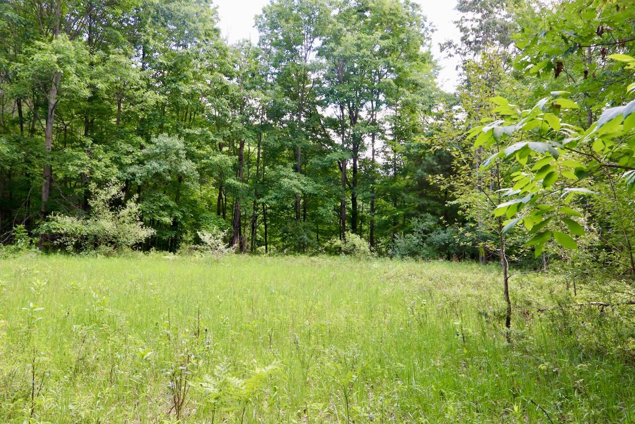 6182 Hamilton Road Harrison, MI 48625 - Photo 34 of 77