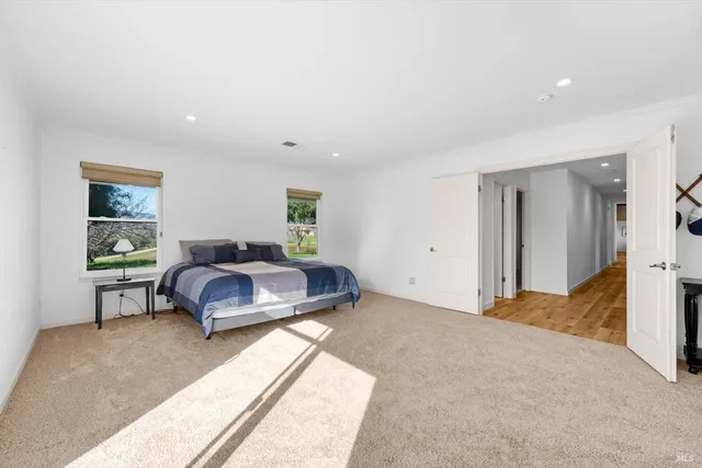 a view of a backyard with a garden and plants