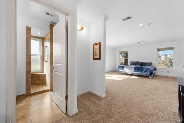 a view of a garden with plants