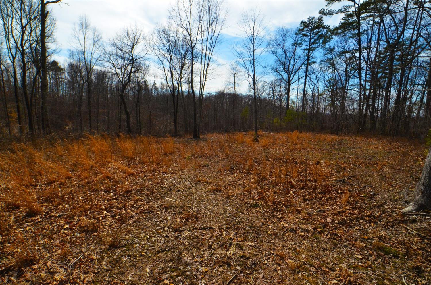 3680 Copper Creek Road Berea, KY 40403 - Photo 9 of 22 Great place to park your camper!