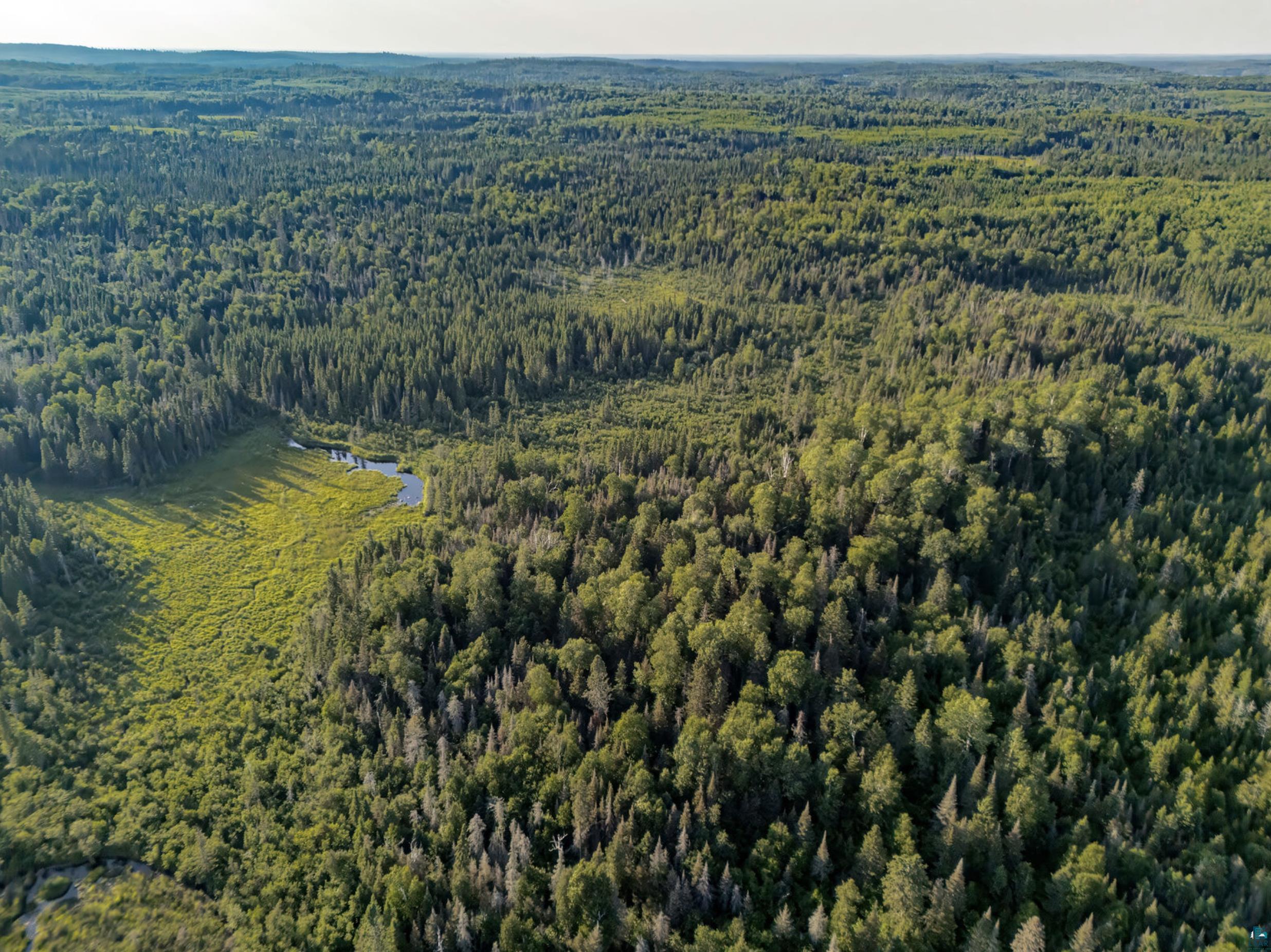 Tbd Hoist Lake Road Finland, MN 55603 - Photo 15 of 22