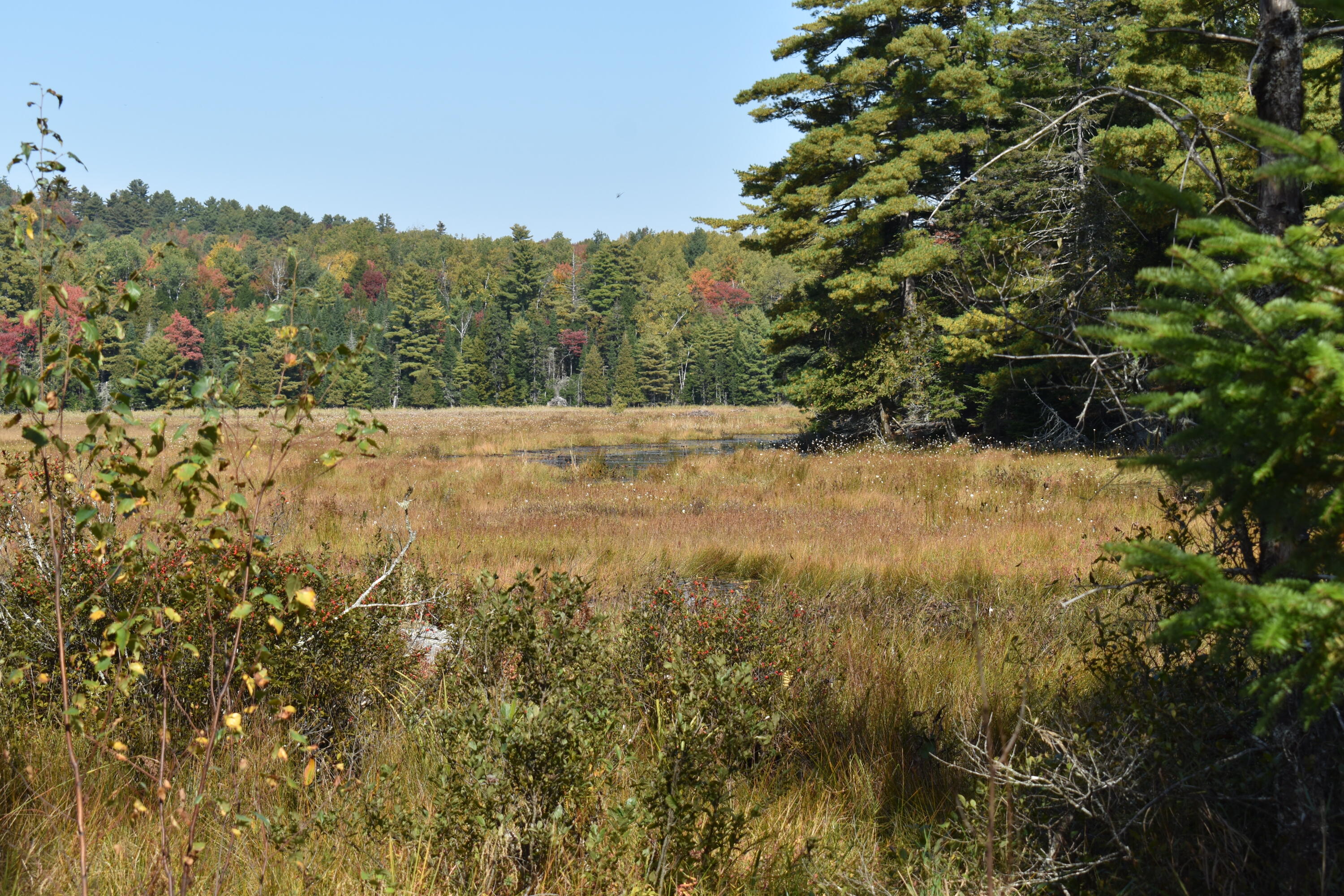280 White Point Estates Road Lincoln, ME 04457 - Photo 21 of 38 DSC_0467