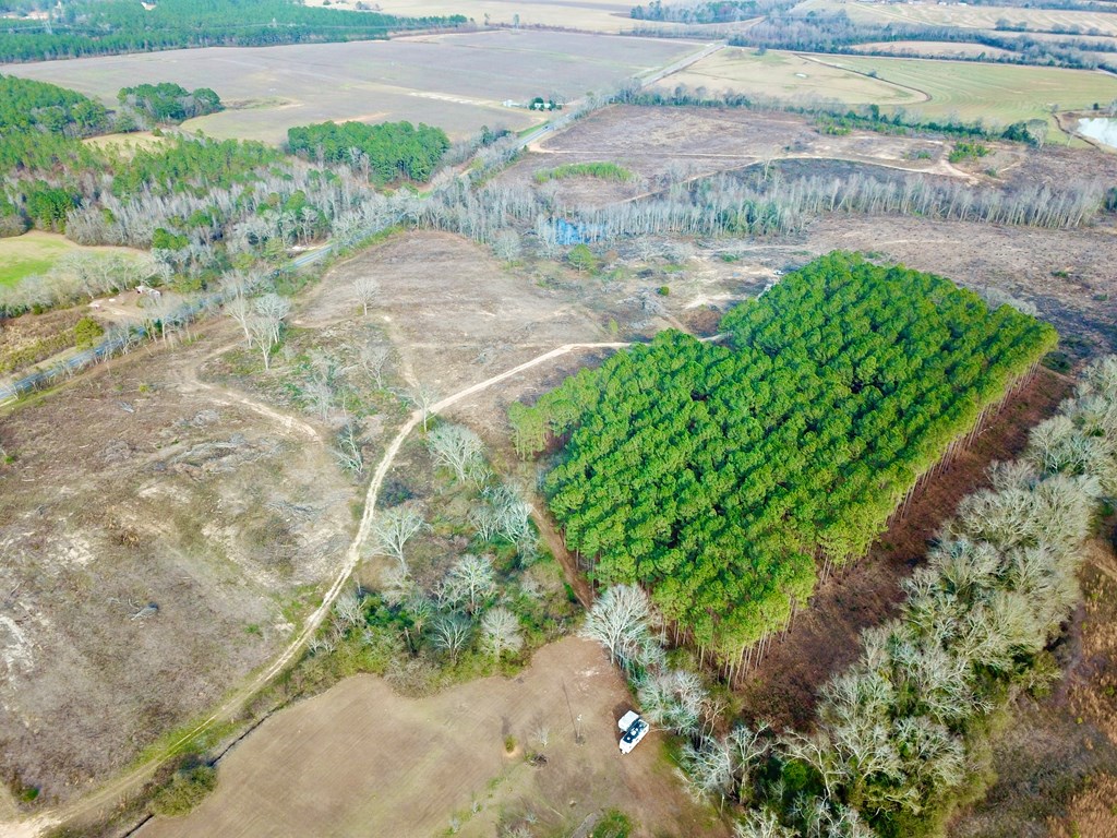 20-acres Hudson Road Columbia, AL 36319 - Photo 22 of 40