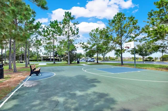 a park with lots of green space and trees