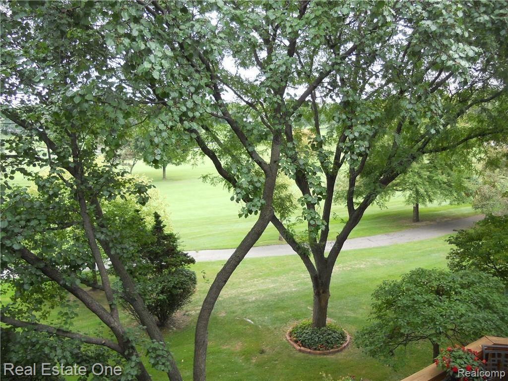 966 Golfview Court, Unit 9 Rochester, MI 48307 - Photo 24 of 46 DSCN3494.JPG