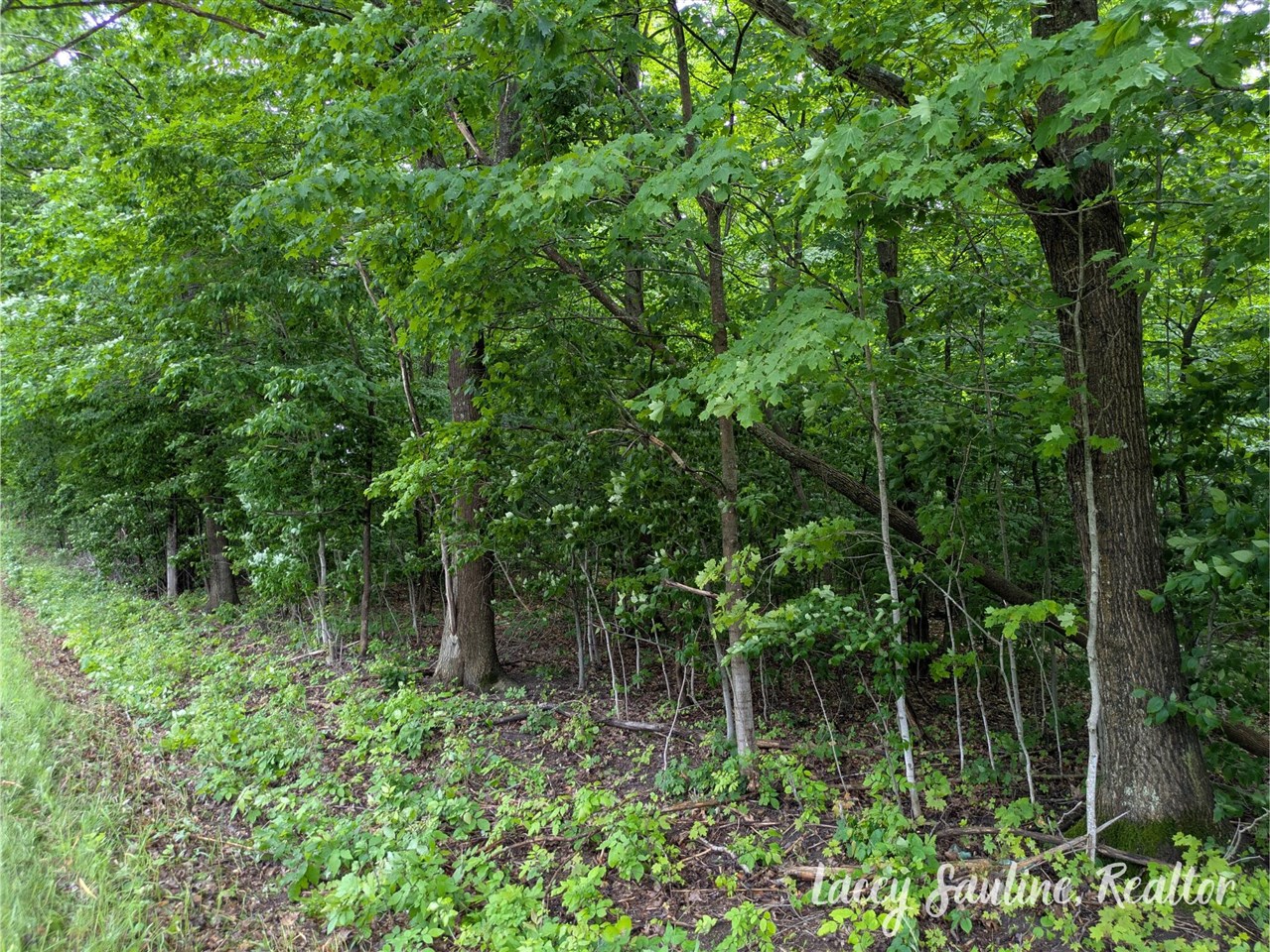 0 West Finkle Road Cadillac, MI 49601 - Photo 19 of 21