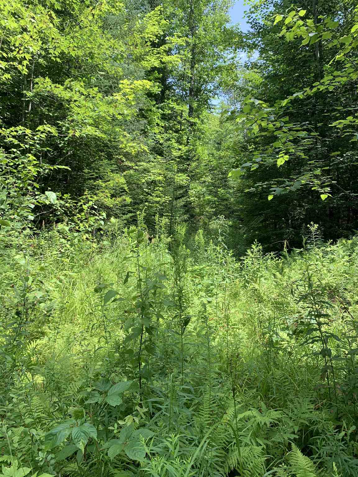 Lot 8 Lost Nation Road Northumberland, NH 03582 - Photo 4 of 11 Gallery Image 4