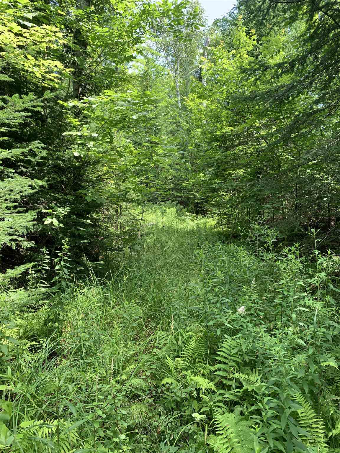 Lot 8 Lost Nation Road Northumberland, NH 03582 - Photo 5 of 11 Gallery Image 5
