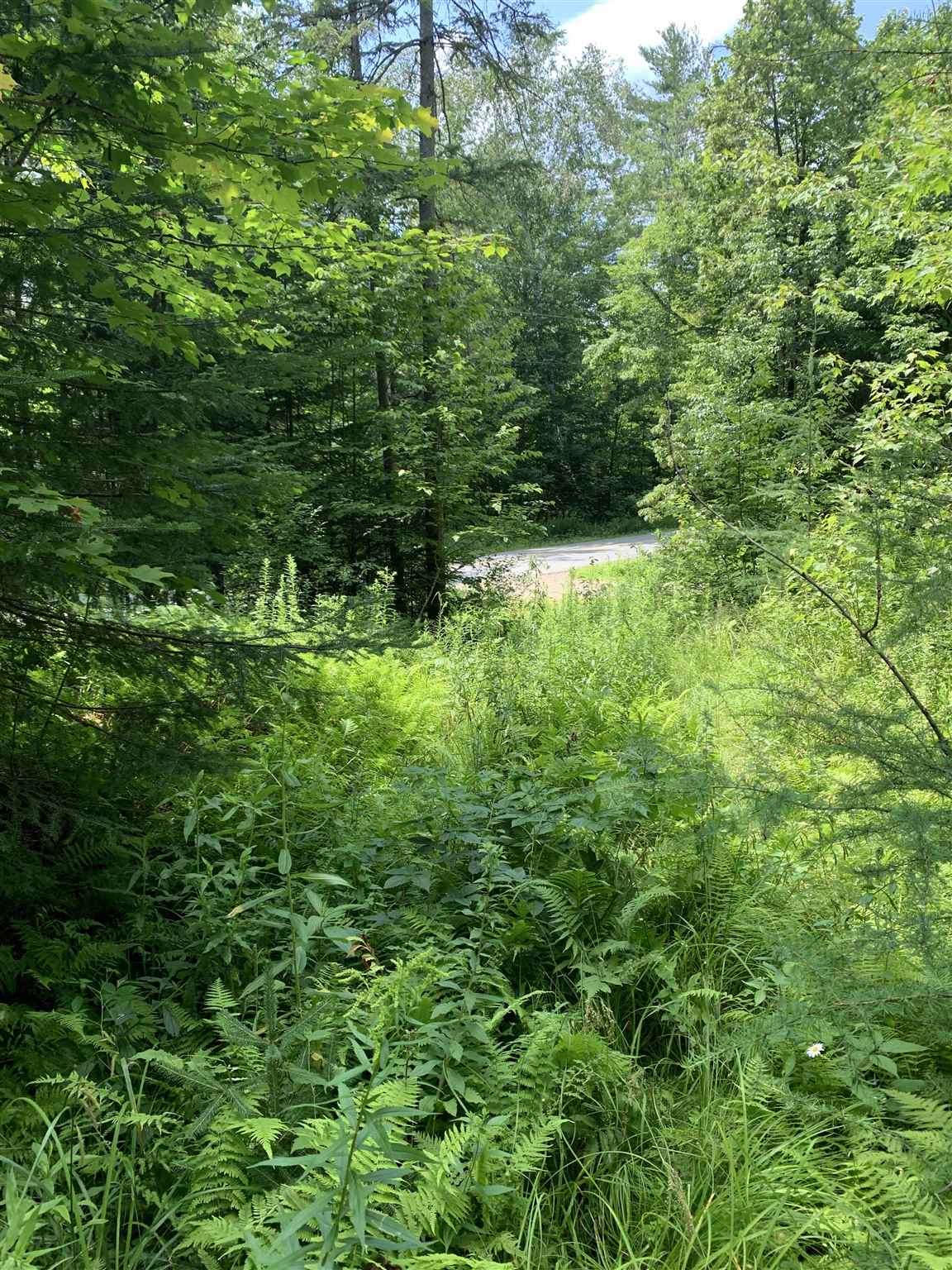 Lot 8 Lost Nation Road Northumberland, NH 03582 - Photo 6 of 11 Gallery Image 6