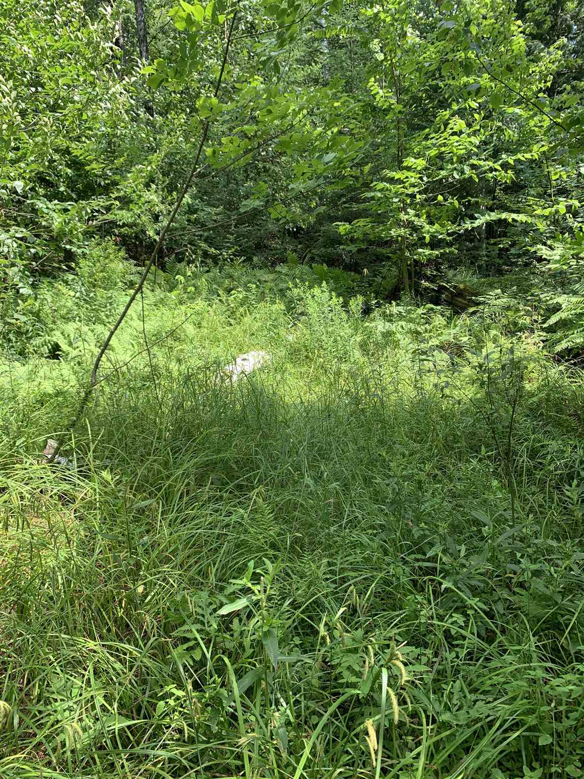 Lot 8 Lost Nation Road Northumberland, NH 03582 - Photo 7 of 11 Gallery Image 7
