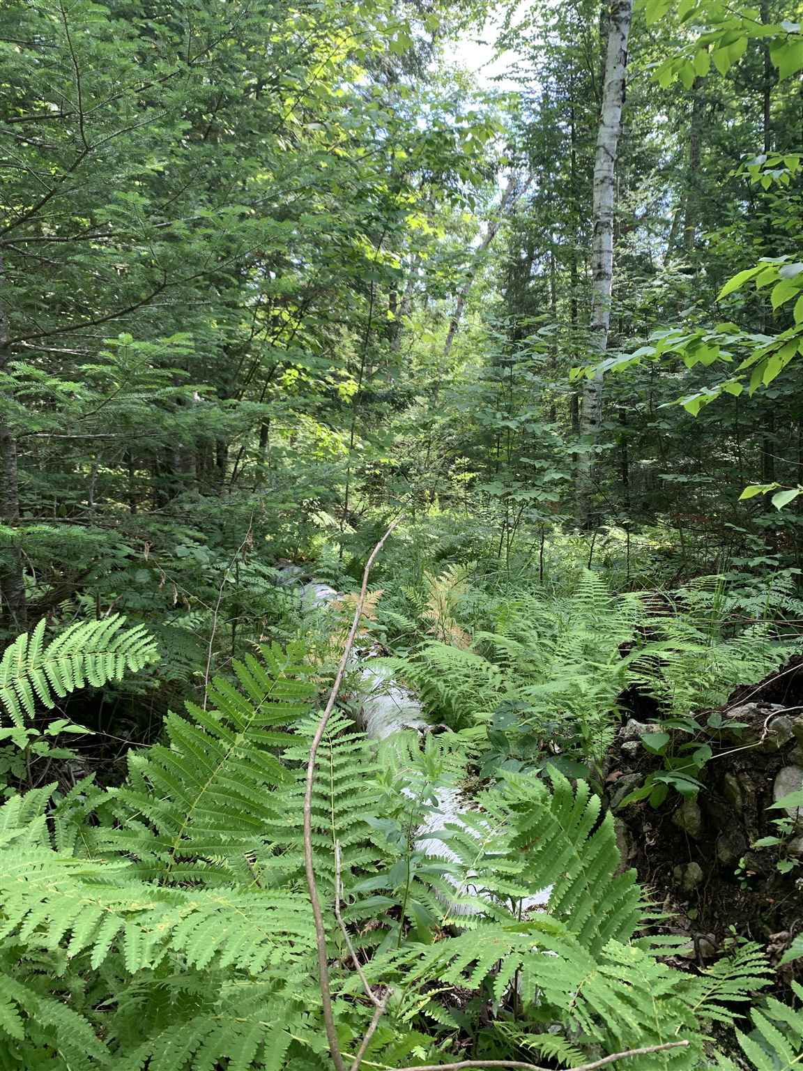 Lot 8 Lost Nation Road Northumberland, NH 03582 - Photo 8 of 11 Gallery Image 8