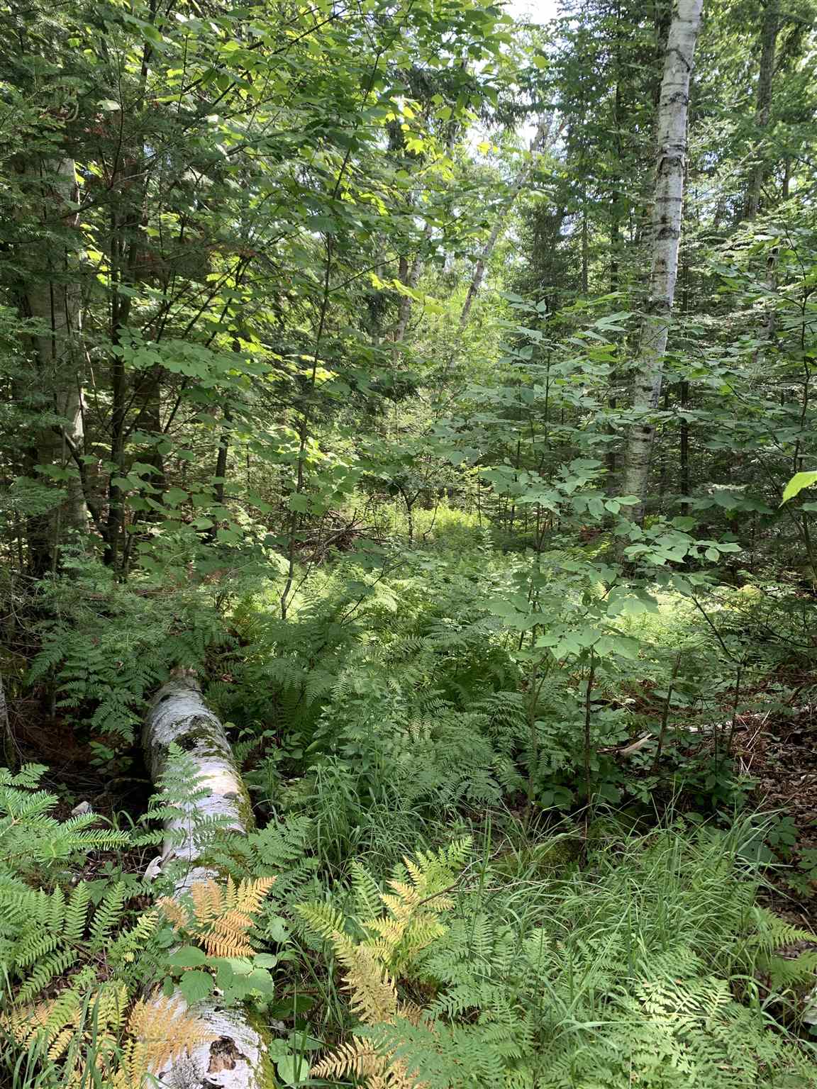 Lot 8 Lost Nation Road Northumberland, NH 03582 - Photo 10 of 11 Gallery Image 10