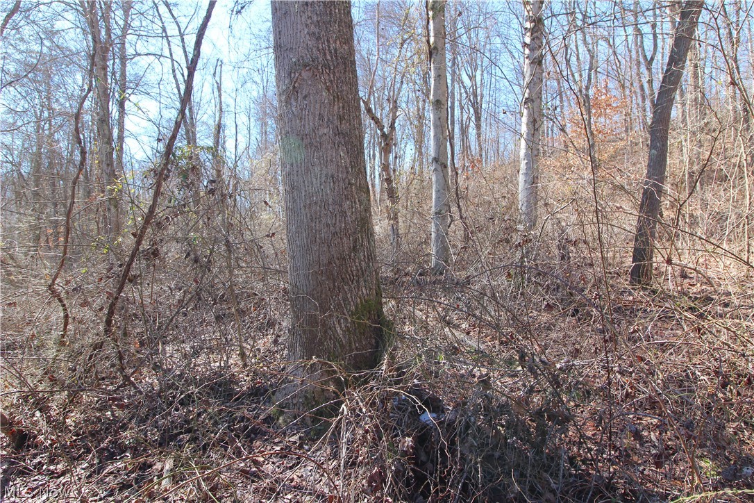 1770 Coon Run Road Lower Salem, OH 45745 - Photo 14 of 30 Gallery Image 14