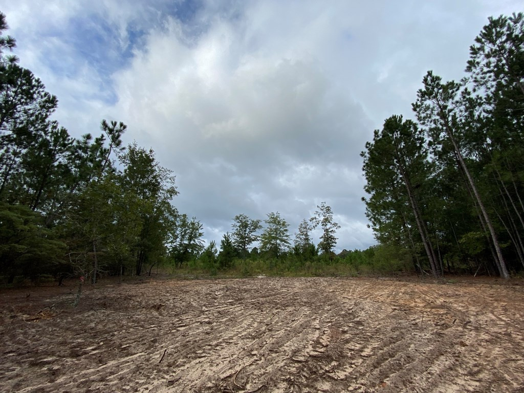 Tbd Implement Road Aiken, SC 29803 - Photo 8 of 8