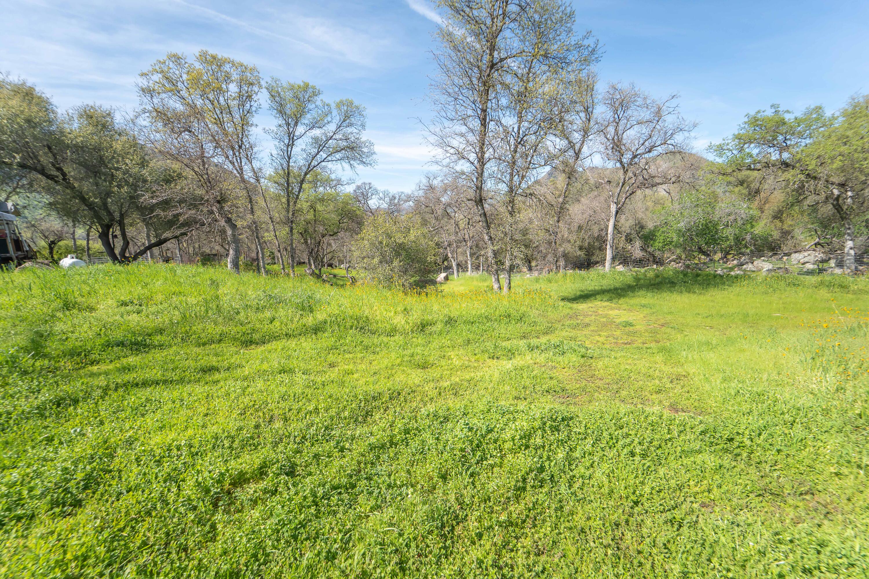 44294 Sequoia Oaks Drive Three Rivers, CA 93271 - Photo 100 of 118 -