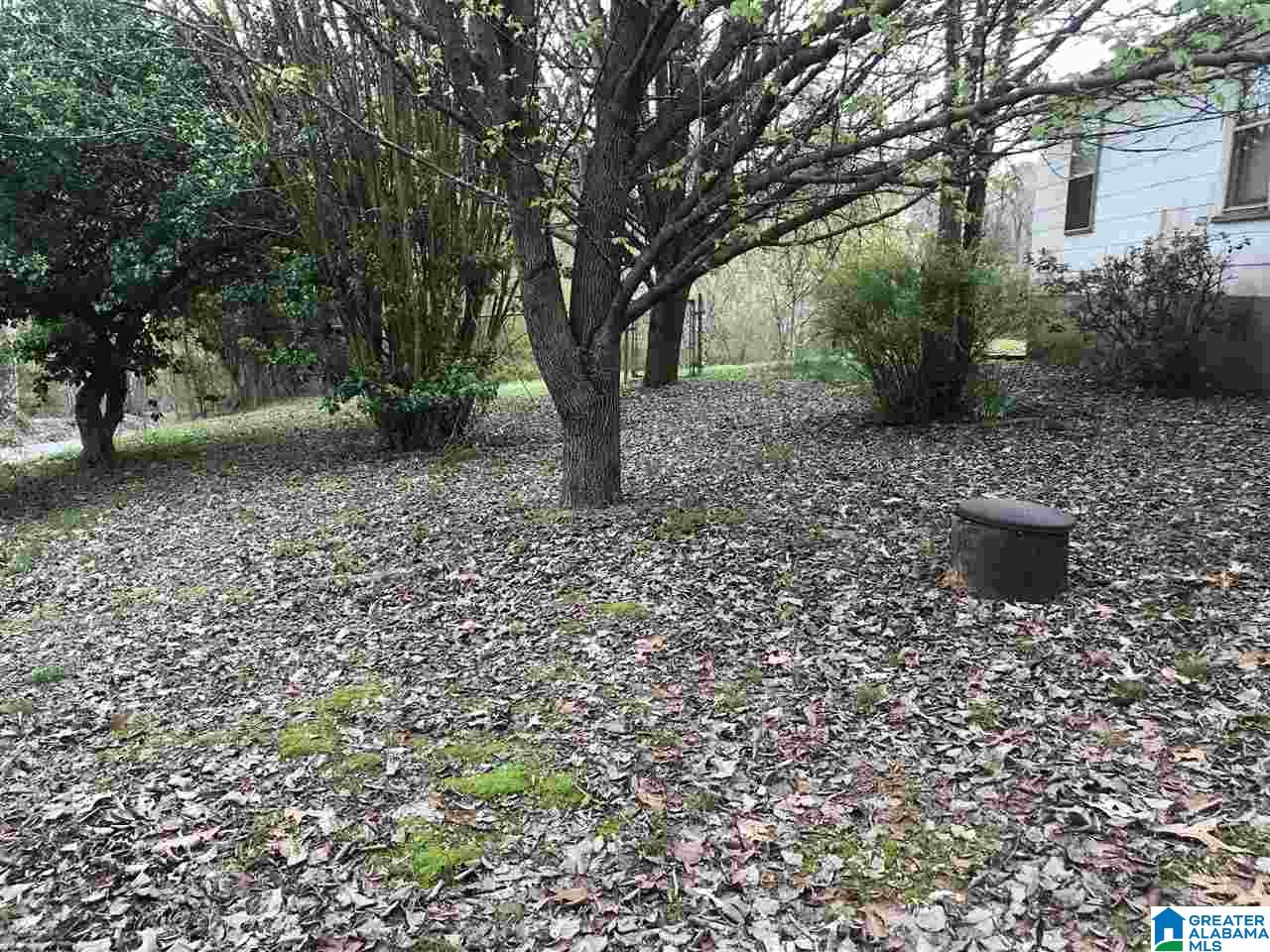 1410 County Line Road Oxford, AL 36203 - Photo 26 of 31