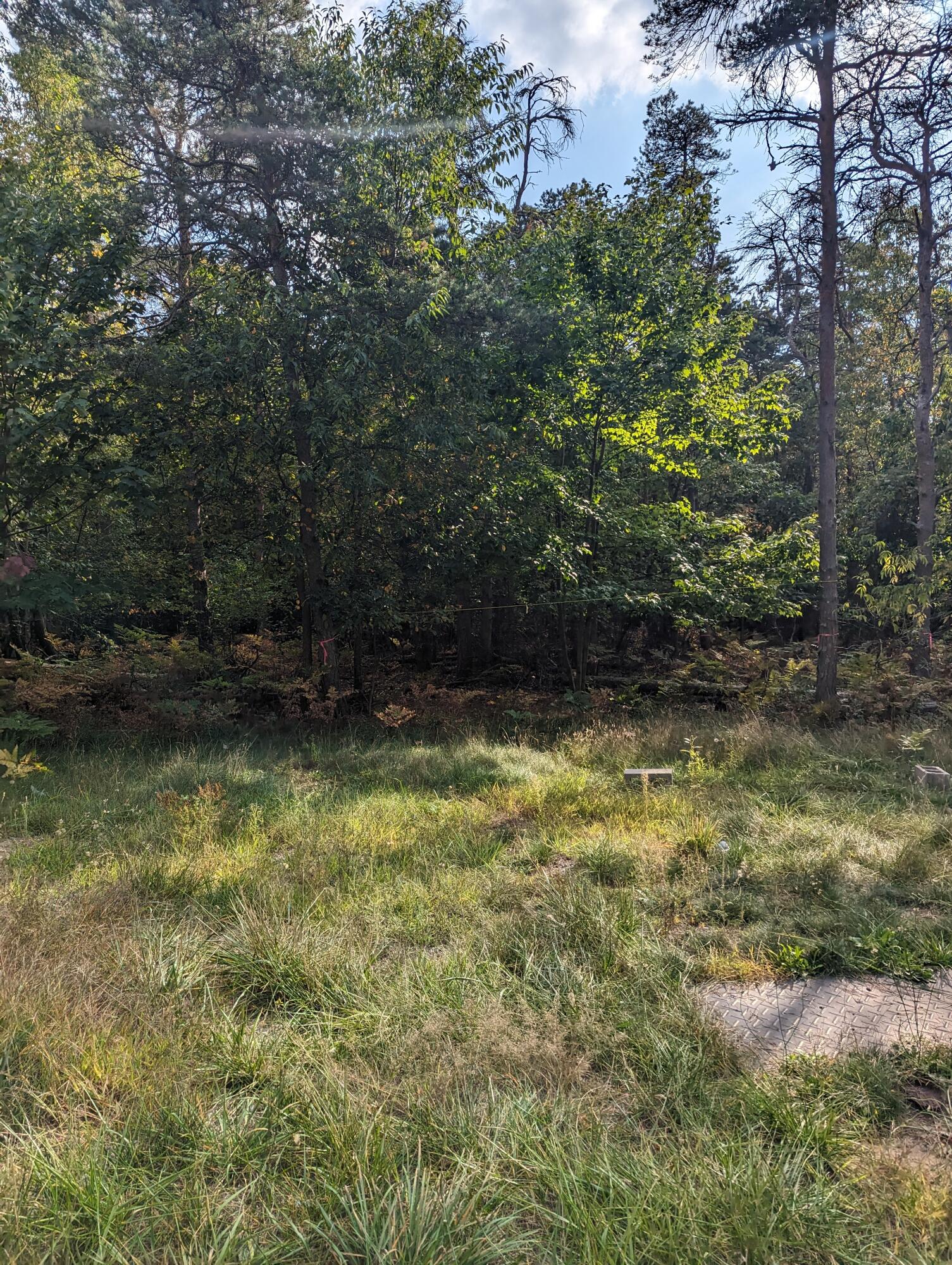 5919 West Hazel Road Mears, MI 49436 - Photo 7 of 9 hazel3
