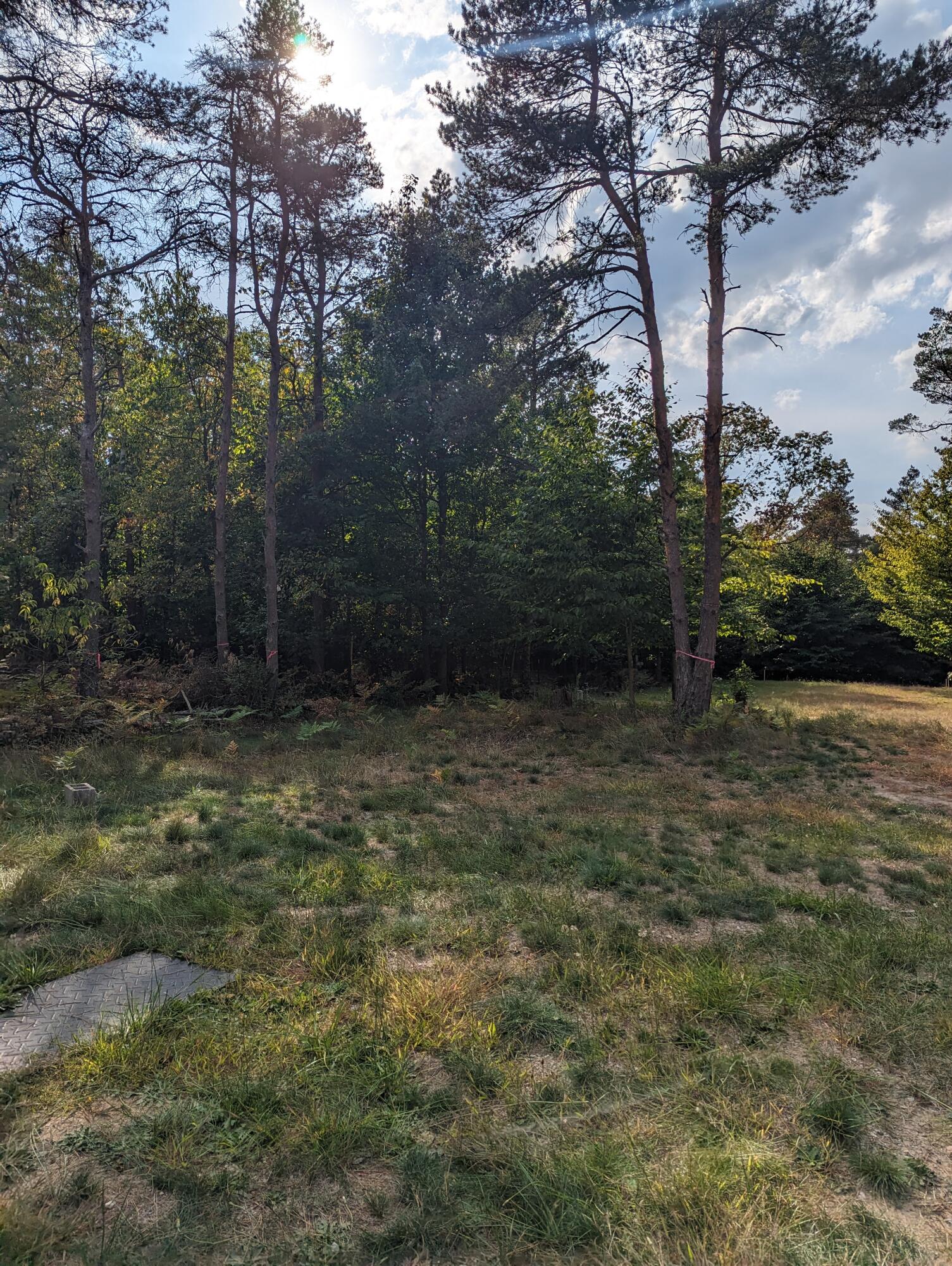 5919 West Hazel Road Mears, MI 49436 - Photo 8 of 9 hazel4