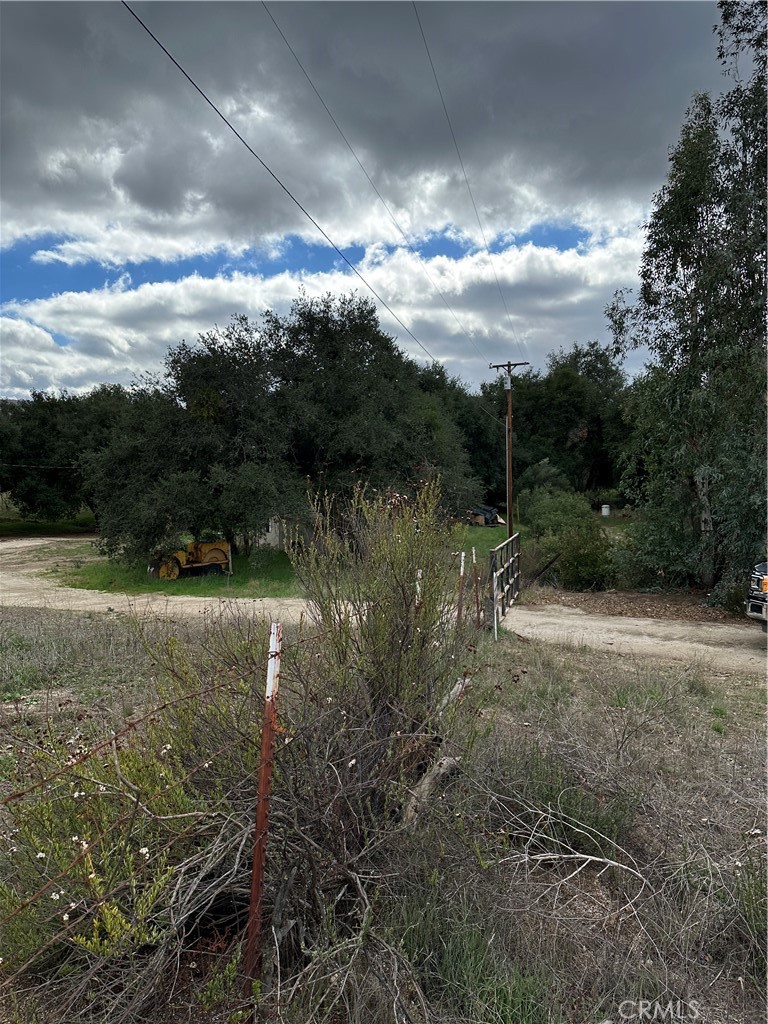 34930 East Benton Road Hemet, CA 92544 - Photo 15 of 54 new of oaks on parcel.