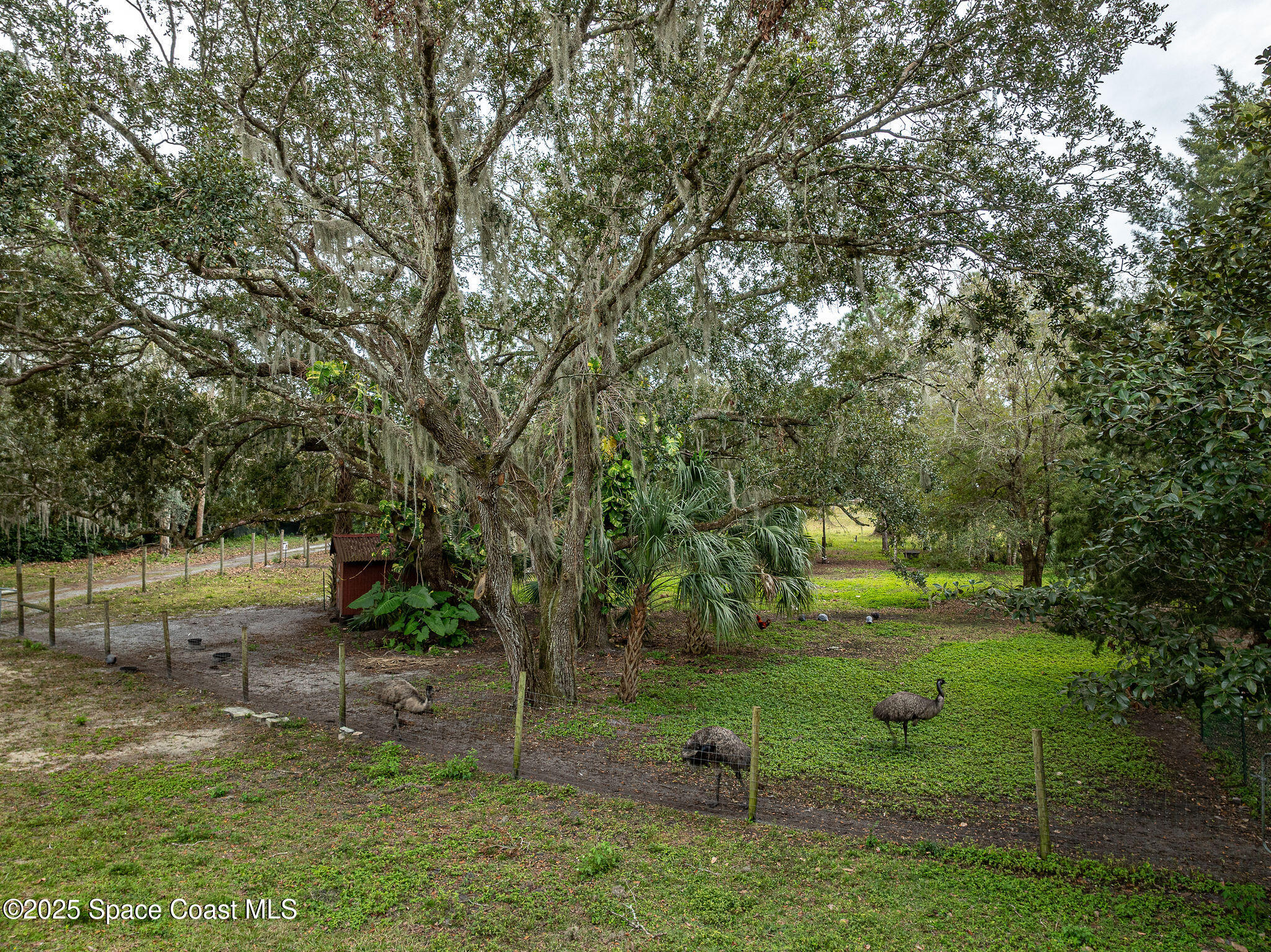 5000 Gandy Road Mims, FL 32754 - Photo 125 of 135 5000 Gandy Rd