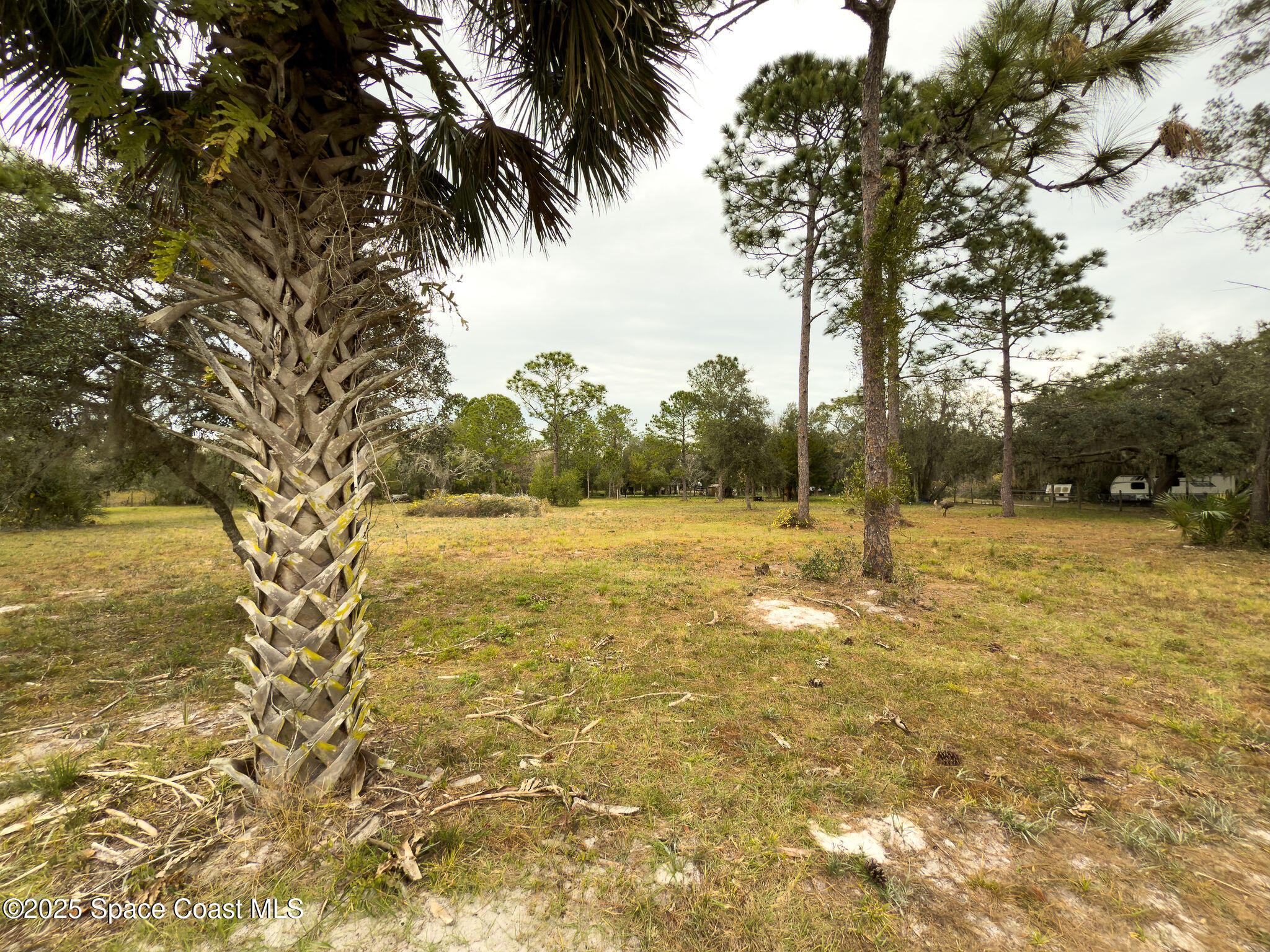 5000 Gandy Road Mims, FL 32754 - Photo 134 of 135 Nearby bike path area