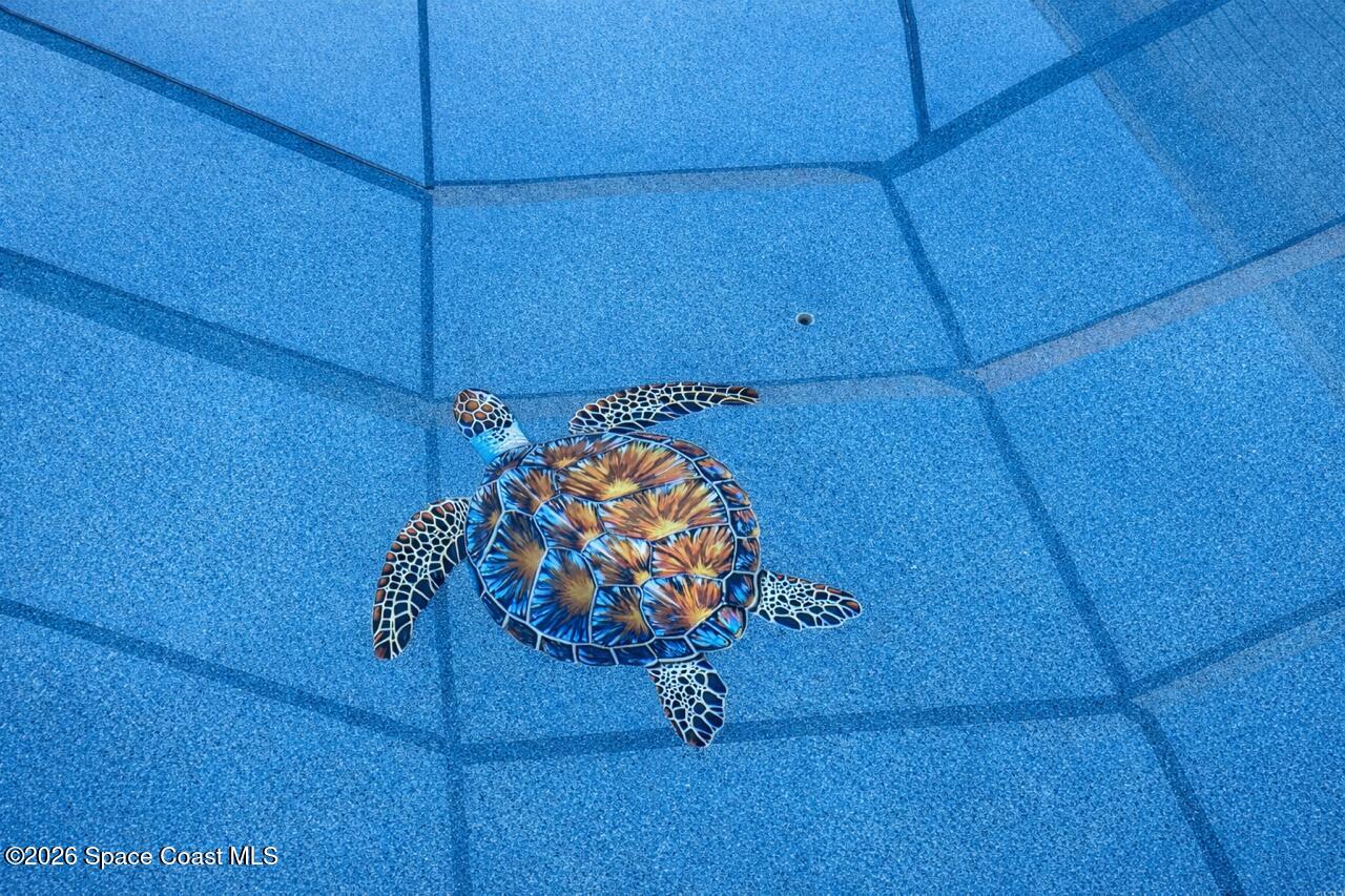 5000 Gandy Road Mims, FL 32754 - Photo 79 of 135 Screened pool