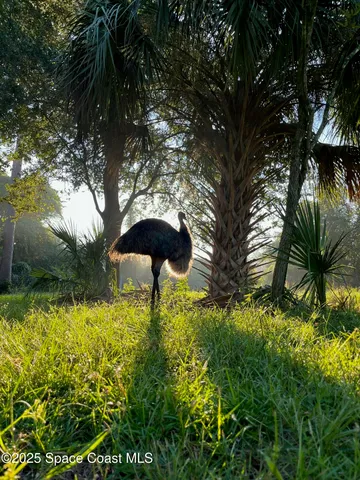 $649,900 | 5000 Gandy Road, Mims, FL 32754