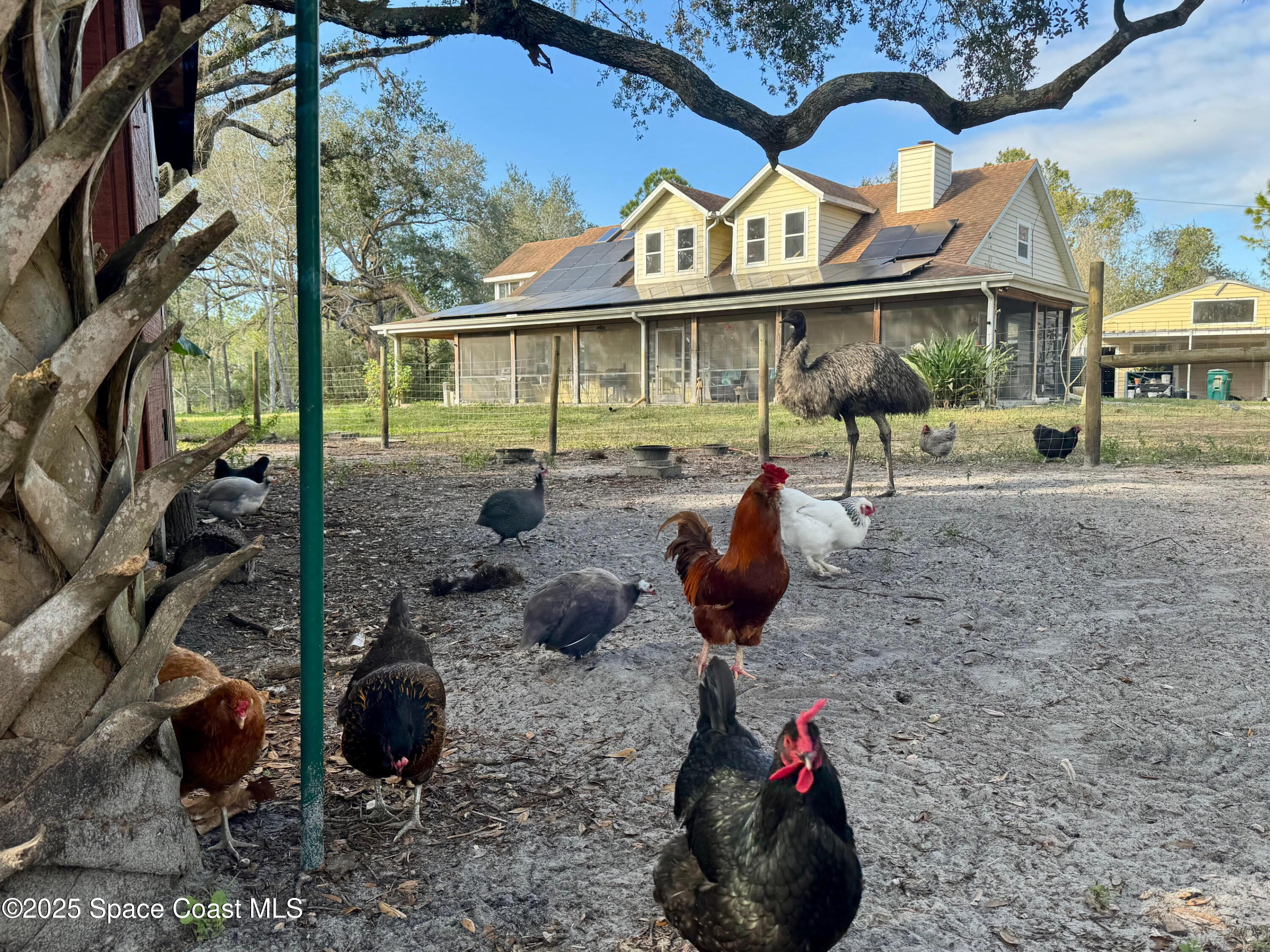 5000 Gandy Road Mims, FL 32754 - Photo 9 of 135 5000 Gandy Rd