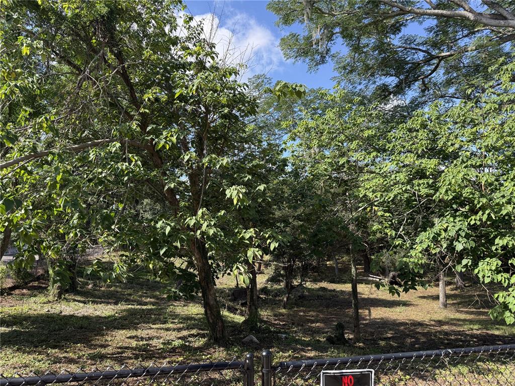 521 East Clay Avenue Brandon, FL 33510 - Photo 3 of 12 a picture of street