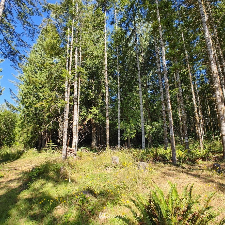 1430 Centralia Alpha Road Chehalis, WA 98532 - Photo 39 of 39