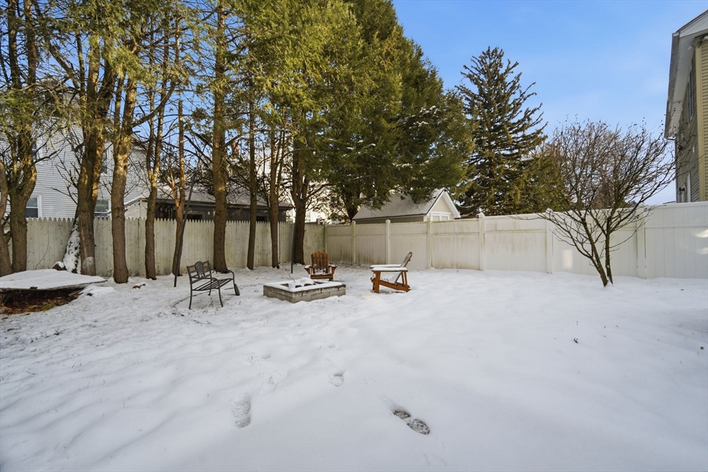 13 Bither Street Springfield, MA 01118 - Photo 28 of 29 a view of a patio with a large tree