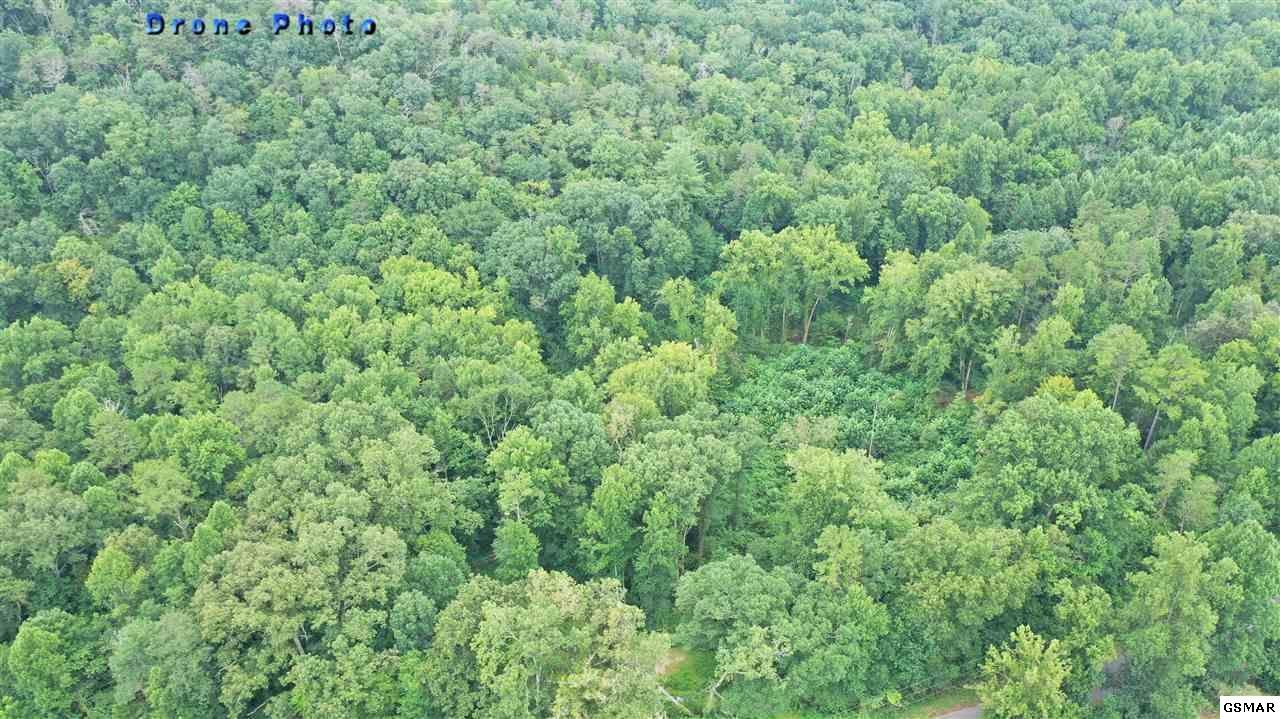 1333 Golf Course Road Newport, TN 37821 - Photo 10 of 23 Gallery Image 10