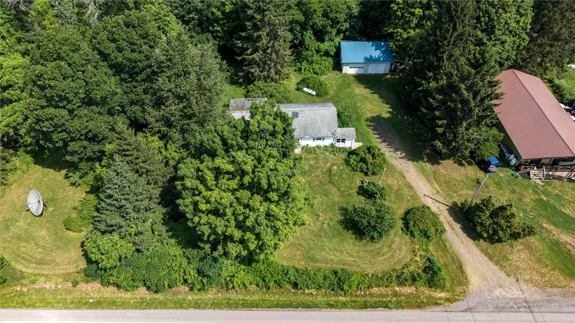 11287 Ridge Road Huron, NY 14590 - Photo 11 of 38 STUNNING AT 7.76 ACRES