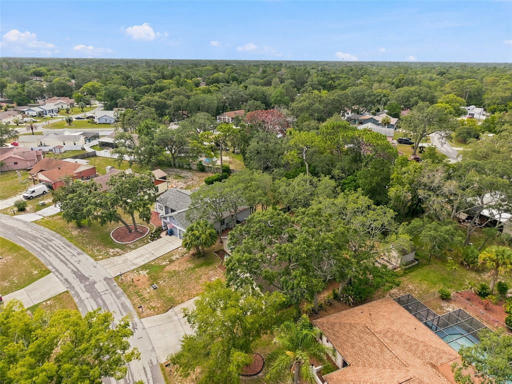 7407 Philatelic Drive Spring Hill, FL 34606 - Photo 40 of 43