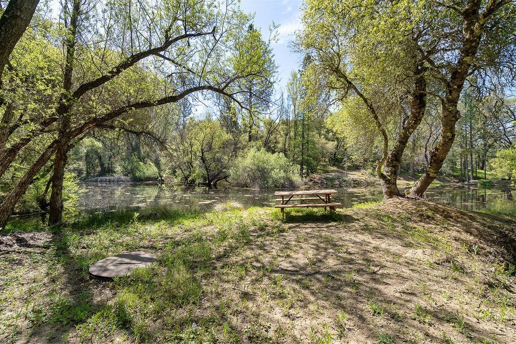 2940 Horseshoe Bend Road Somerset, CA 95684 - Photo 53 of 59