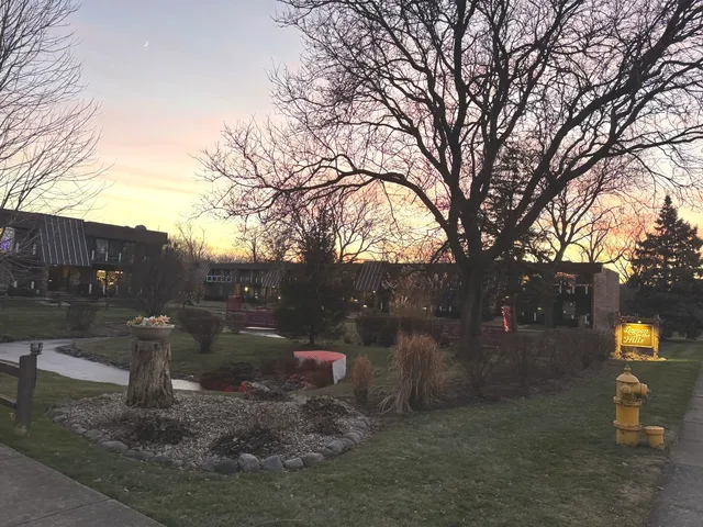 a view of a road with large trees