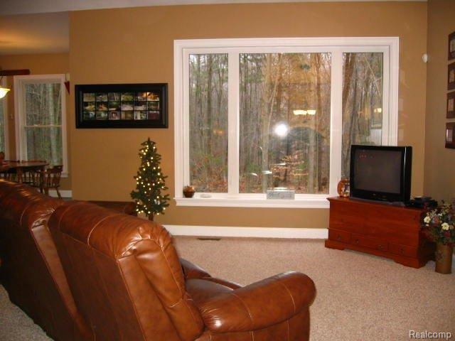 4440 Brott Road North Street, MI 48049 - Photo 6 of 24 LOTS OF WINDOWS
