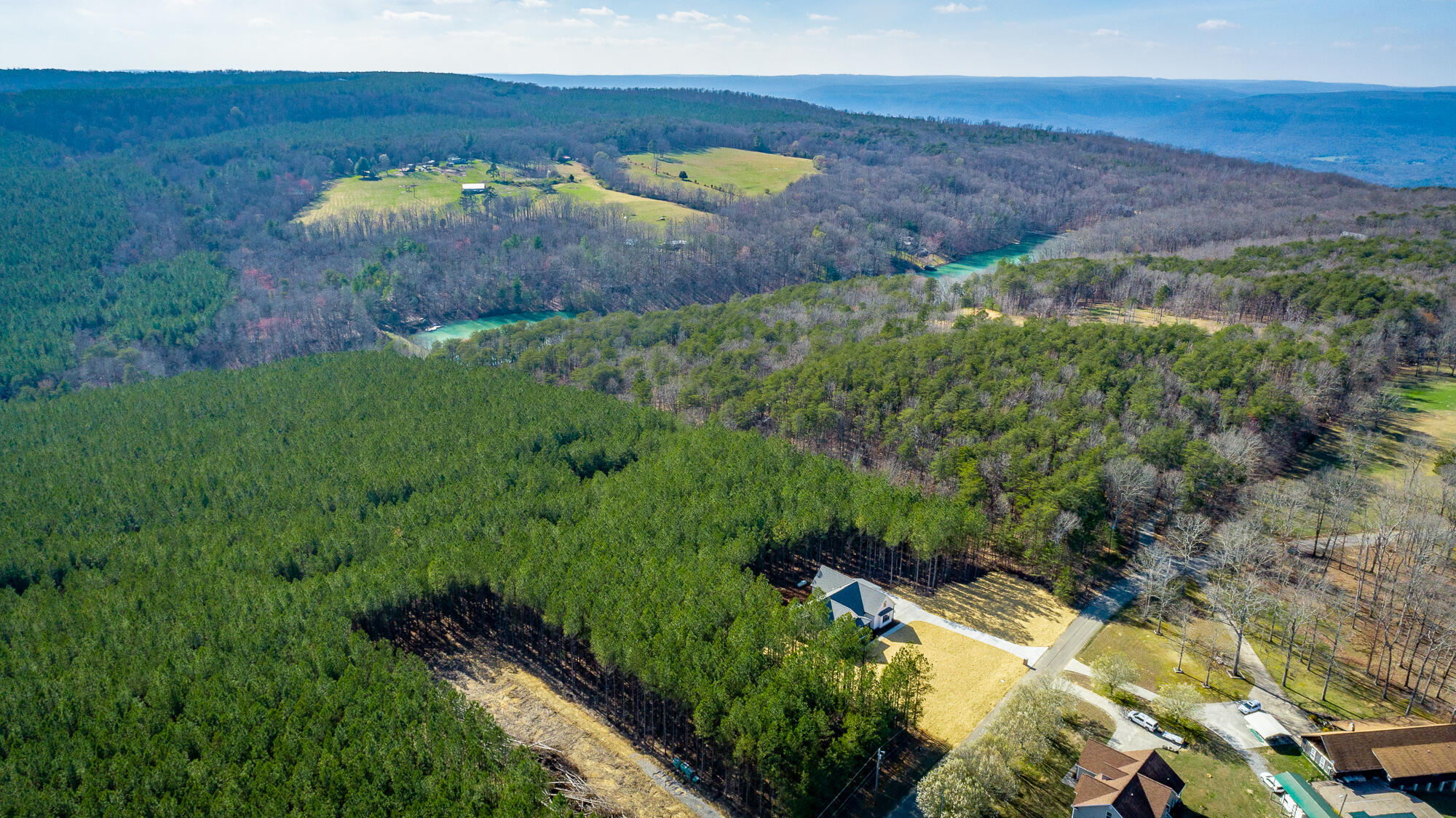 950 Horseshoe Road Signal Mountain, TN 37377 - Photo 42 of 44 Ariel View