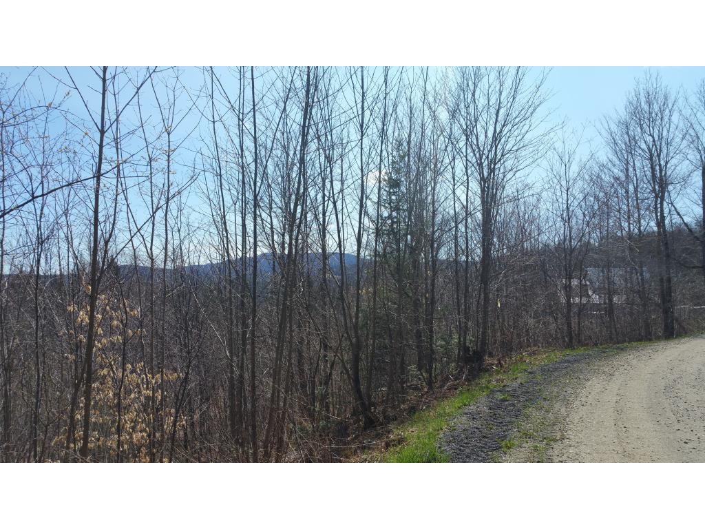 225 Drake Pl Road Sheffield, VT 05866 - Photo 1 of 12 Gallery Image 1