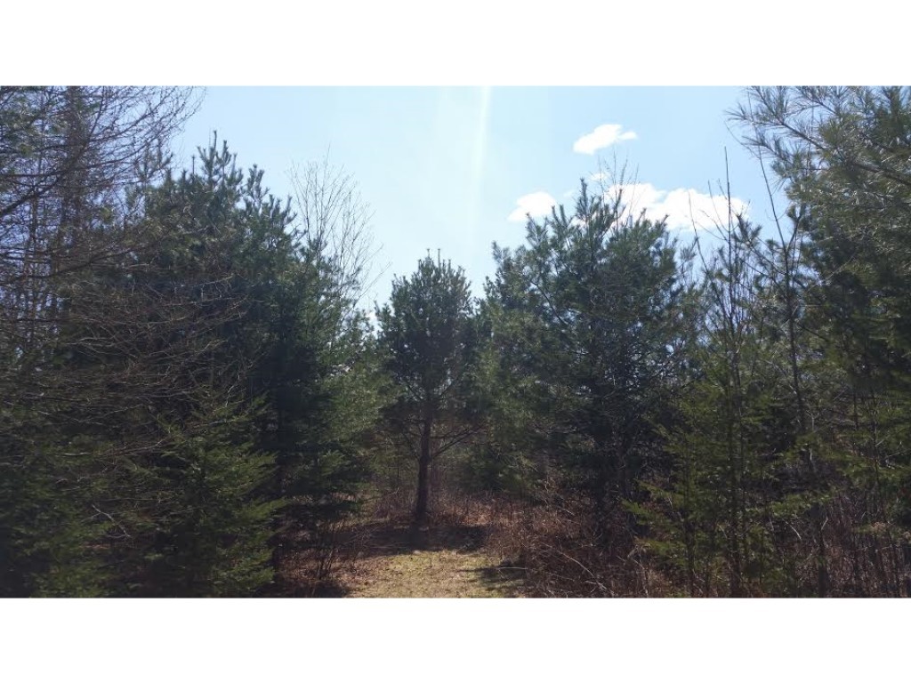 225 Drake Pl Road Sheffield, VT 05866 - Photo 5 of 12 Gallery Image 5