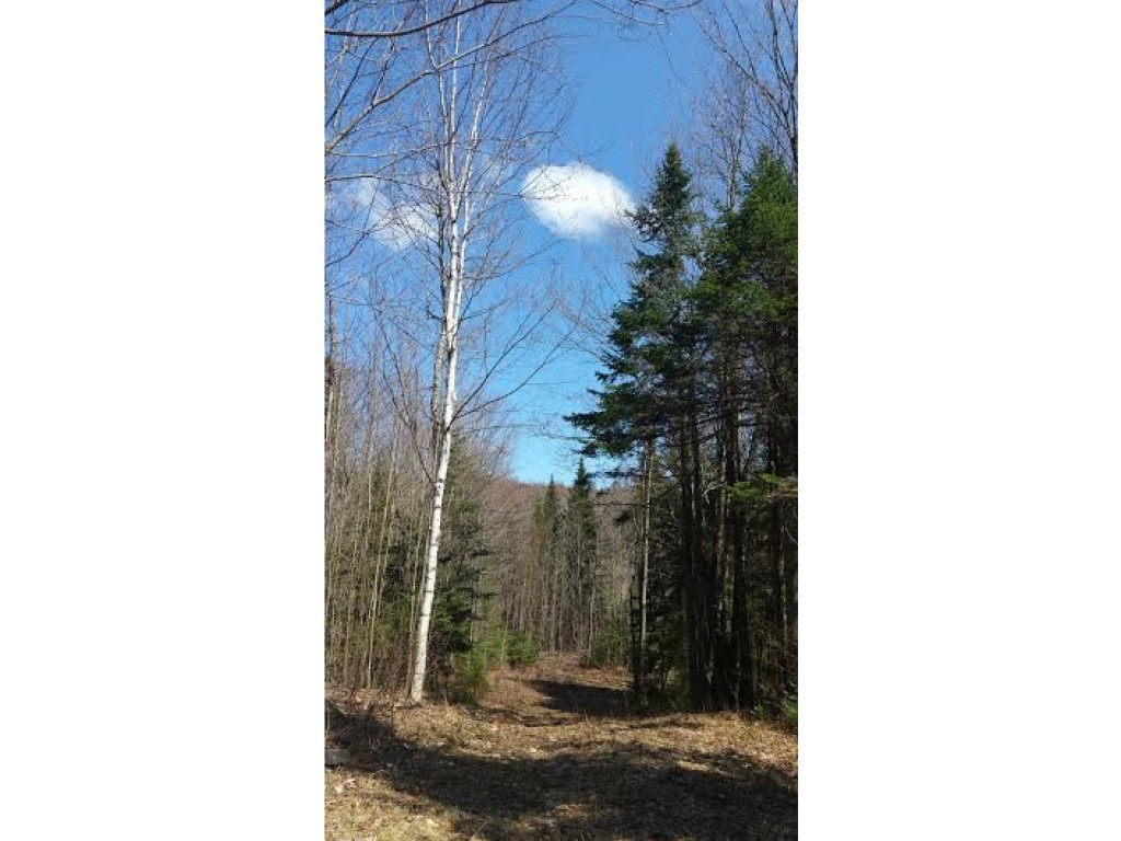 225 Drake Pl Road Sheffield, VT 05866 - Photo 6 of 12 Gallery Image 6