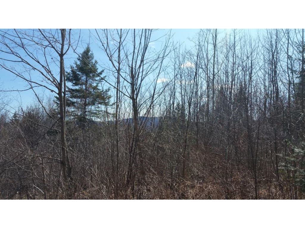 225 Drake Pl Road Sheffield, VT 05866 - Photo 7 of 12 Gallery Image 7